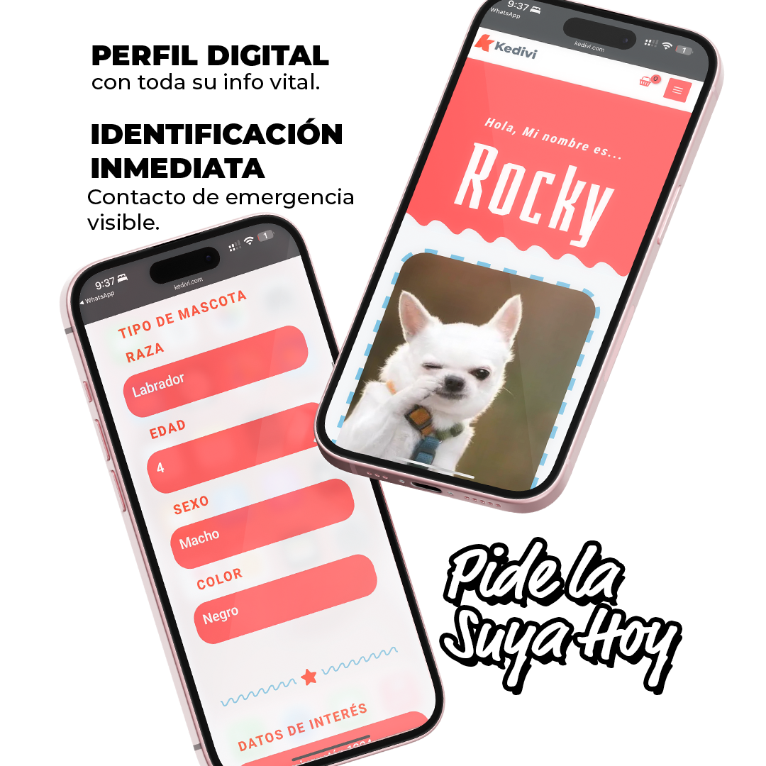 Plaquita de Identificación QR Personalizable para Mascotas - Image 4